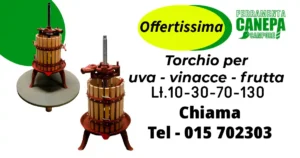 Scopri di più sull'articolo Torchio per uva – vinacce – frutta